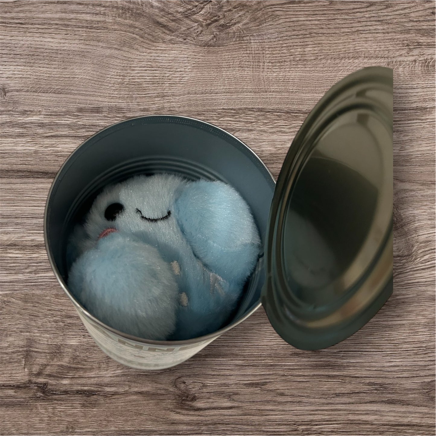 A Canned Plush